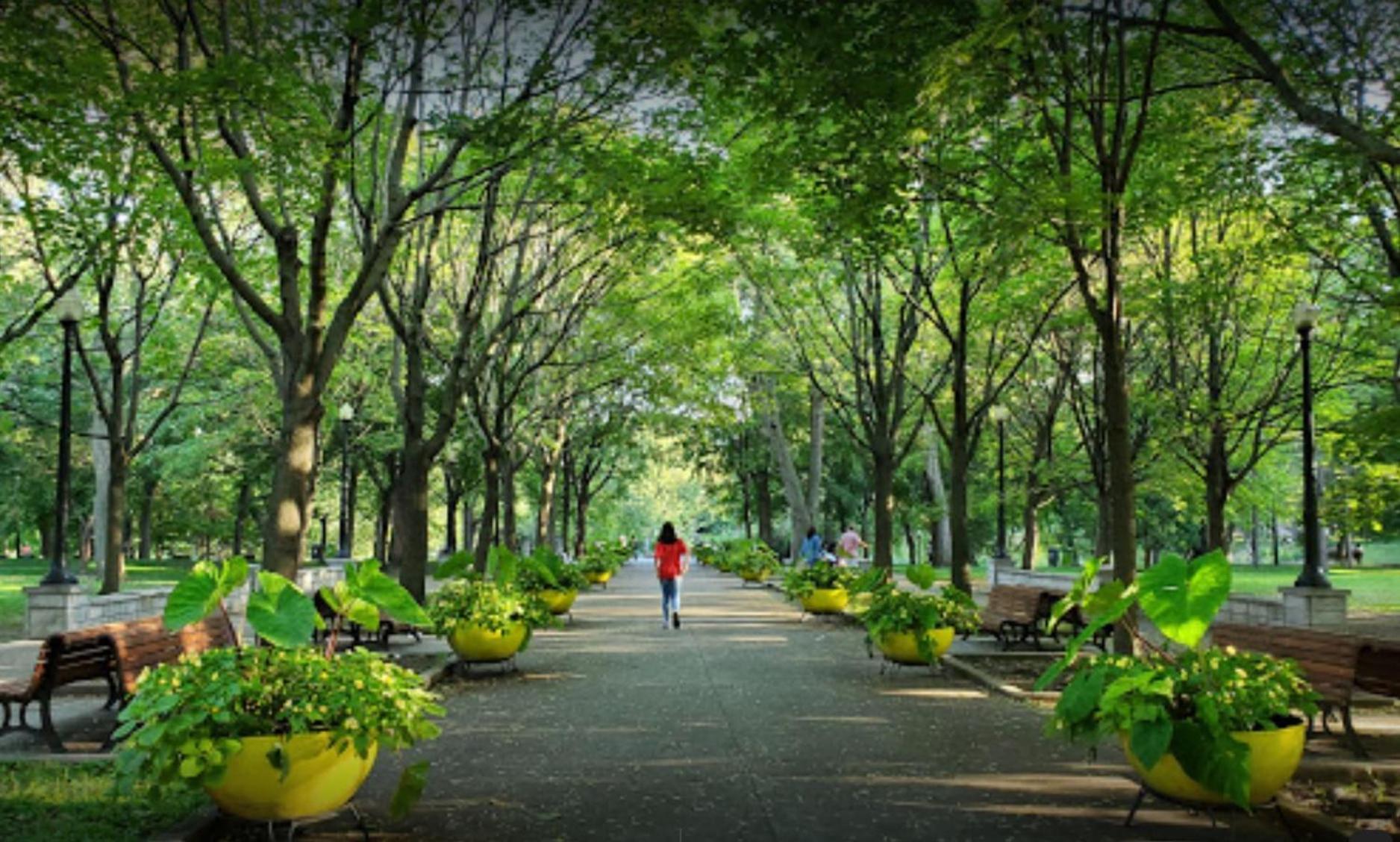 Chez Mont Royal Apartments! 몬트리올 외부 사진